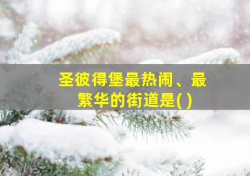 圣彼得堡最热闹、最繁华的街道是( )